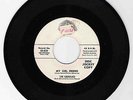DOO WOP 45 THE CADILLACS MY GIRLFRIEND ON JOSIE   STRONG VG ORIGINAL PROMO