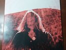 Manipulator [LP] by Ty Segall (Vinyl, Aug-2014, 2 Discs, Drag City) -RED VINYL-