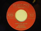 Norm Allen & Renegades 45 ep LOVER BOY + 3   Orbit VG to VG+ Detroit rock