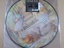 GENESIS Selling England By The Pound 2013 UK vinyl picture disc LP + MP3