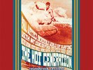 THE SUNSETS  Hot Generation Soundtrack Sessions LP  Tamam Shud surf garage punk