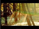 Camp - CHILDISH GAMBINO [2x LP]