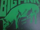 PINK FLOYD LP Big Pink BOOTLEG BLACK / GREEN COLORED LIM EDIT 30 COPY 