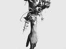 Mouse on the Keys - Flowers of Romance