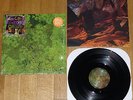 ANIMAL COLLECTIVE Water Curses 12