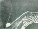 My Dying Bride - Turn Loose The Swans [Vinyl New]