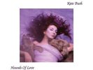 Kate Bush - Hounds Of Love +++Vinyl 180g+++Audio Fidelity AFZLP 087++NEU+++OVP