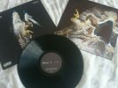 Courteeners Falcon 12