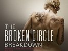ORIGINAL SOUNDTRACK - THE BROKEN CIRCLE BREAKDOWN (LP)