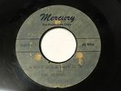The Echoes UNRELEASED DOO WOP / SOUL 45 A Rose And A Baby Ruth MERCURY DEMO HEAR