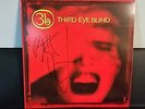 Third Eye Blind S/T 2013 SIGNED 2 LP Vinyl Brad Hargreaves & Stephan Jenkins EX