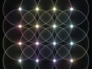 Jonas Reinhardt - Palace Savant [Vinyl New]
