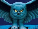 Fly By Night - Rush (2015, Vinyl New)