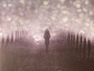 MERCURY REV - The Light In You - Vinyl (limited gatefold white vinyl LP + CD)