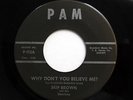 SKIP BROWN & SHANTONS 45 Why don't you believe me ?/ Jenny Lee PAM Doowop bb3048