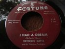 NATHANIEL MAYER DETROIT D J R&B SOUL ROCKER  FORTUNE RECORDS I HAD A DREAM #554