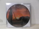 MINA Bula bula  LP NUOVO ITA PICTURE DISC EDIZIONE LIMITATA NUMERATA