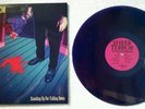 Sheer Terror - Standing Up For Falling Down [ Vinyl LP ] Mint / Blue-Purplehaze