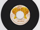 ACIAMAJ - JAH CHOSEN PEOPLE - BIG CAT (VERY RARE WICKED ROOTS 7)