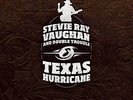 Stevie Ray Vaughan Box Set++6 LPs 33 rpm Vinyl 200g+Analogue Productions+NEU+OVP