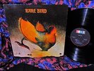 SCARCE 1969 THICK ORIG 1st RARE BIRD   HAMMOND + KEYS DARK LUSH PROG Caravan