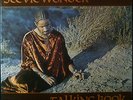 LP STEVIE WONDER - talking book, 1C 072-93 880FOC, nm