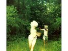 The World Is A Beautiful Place Harmlessness Vinyl Record Album brand new sealed