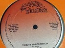 (RANKIN TREVOR) HORACE ANDY /UNKNOWN DJ -TRIBUTE TO BOB MARLEY /TOP RANKING 1981
