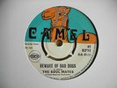 *Listen*SKA-ROCK STEADY Soul Mates 