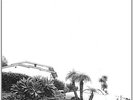 Timber Timbre - Hot Dreams NEW LP