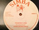 DENNIS BROWN PROMISE LAND 12