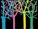 The Loon by Tapes 'n Tapes (Vinyl, Jul-2006, XL Recordings/Beggars Group)