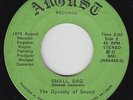 Funk/Sweet Soul 45 - Dynasty Of Sound - Small Bag - August - mp3 - rare