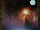 Senses Fail Renacer ORANGE vinyl LP brand new taking back sunday silverstein afi
