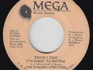 Modern Funk/Sweet Soul 45 - Dynamic Upsetters - Tricky Chic - Mega - mp3