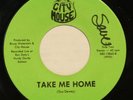 CITY MOUSE take me home / let me down easy 45 – private MN hard rock rural