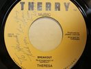 THERESA breakout / cold rain 45 on THERRY --- wipeout surf DRUM BREAKS