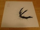 SUN CITY GIRLS S/T LP SELF TITLE PRIVATE PRESS PLACEBO 1984 PSYCH SONIC YOUTH