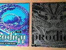 THE PRODIGY - CHARLY & EVERYBODY IN THE PLACE - 12