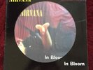 Nirvana In Bloom Rare Picture Disc Vinyl