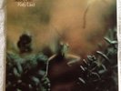 STEELY DAN KATY LIED   Original Master Recording MFSL RARE AUDIOPHILE NEAR MINT