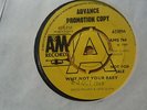 Doug Dillard & Gene Clark,Why Not Your Baby,Extremely rare promo press,7