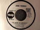 NORTHERN SOUL 45 John Thomas It Sure Is Groovy Veep 1282 Promo M- Hear MP3