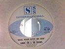 VINNIE ZEN & THE ROGUES-Bricks Broken Bottles & Sticks-SSS INTERNATIONAL 709