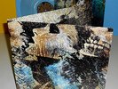 CONVERGE axe to fall Lp Record CLEAR Vinyl , tour pressing
