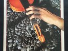 L. Shankar ?– Touch Me There Record LP ZAPPA SRZ-1-1602 12