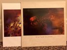 Cocteau Twins Victorialand Vinyl Record LP 4AD Original EXCELLENT 1986