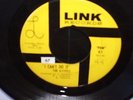 RARE 1966 The E-Types- I Can't Do It b/w Long Before- Link E-1 Garage/Psych 45