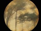 Golden Void - Berkana LP