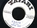 1134 LITTLE ROY-EARTH-TAFARI- RARE REGGAE 45 7